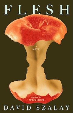 Flesh: A Novel