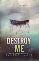 Destroy Me (Shatter Me Series)