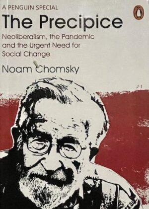 The Precipice: Neoliberalism, the Pandemic and the Urgent Need for Radical Change (PREMIUM EDITION)