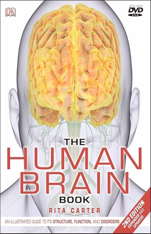 The Human Brain Book: A Visual Guide (Large Print)